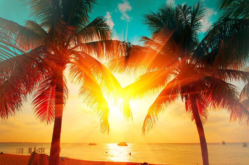 Yacht escort Caribbean experience with palm trees and sunset in St Barts